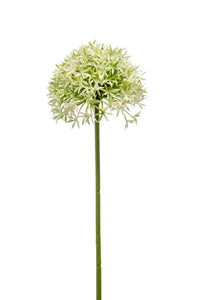 Allium artificiel - 1 tige - Crème/vert