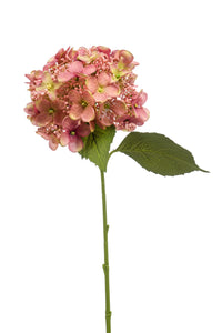 Hortensia artificial - 1 cabeza - rosa vintage