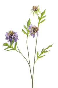 Scabiosa artificielle - 1 tige - Violet