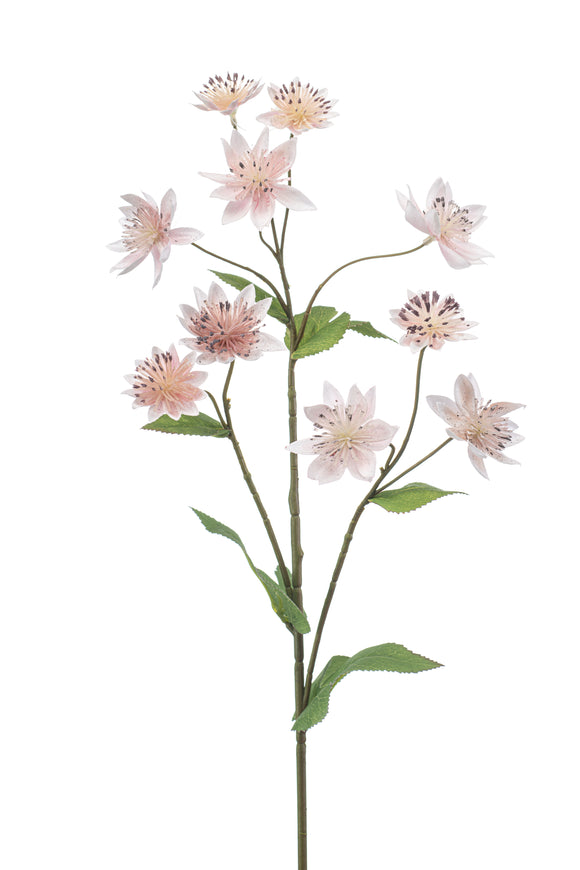 Astrantia künstlich - 1 Stiel - Hellrosa