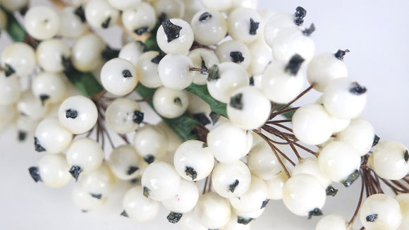 Berry cluster on stem - 1 bunch - White